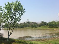 -九龙湖公园