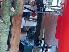大堂-B.O.M波姆烘焙(凤凰街店)