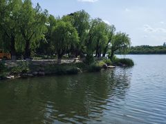 -长春市南湖公园