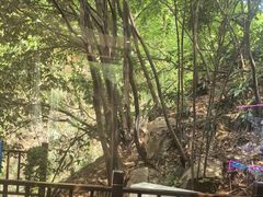 -将军关探险漂流