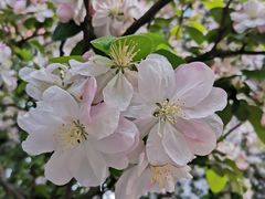 -西青郊野公园