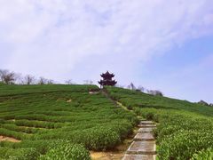 -龙坞茶村