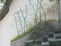 -中国大熊猫保护研究中心雅安碧峰峡基地