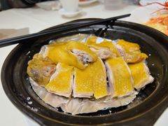瓦撑盐焗鸡-東海海鲜酒家(中信广场店)