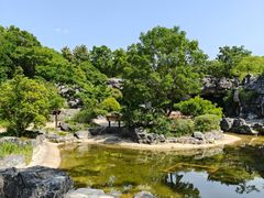 -吴淞炮台湾湿地森林公园烧烤区