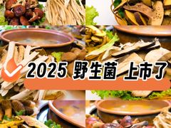 -菌海森林·非遗野生菌火锅(西山区滇池路摩根道店)