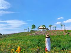 -紫颐香薰山谷景区