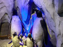 -太平洋海底世界