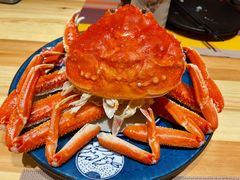 -蟹福家活蟹料理·豪华自助(绿洲假日酒店)