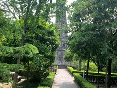 -上海佘山国家森林公园天马山园