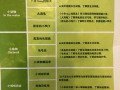 -卡巴机器人编程·少儿编程·信息学竞赛(公益西桥校区)