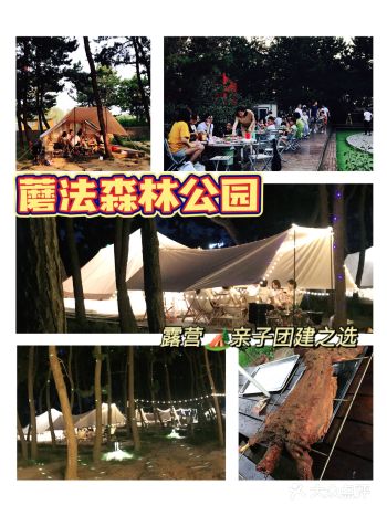 周末来一次与大自然亲密接触的时光 位于仰口风景区的青