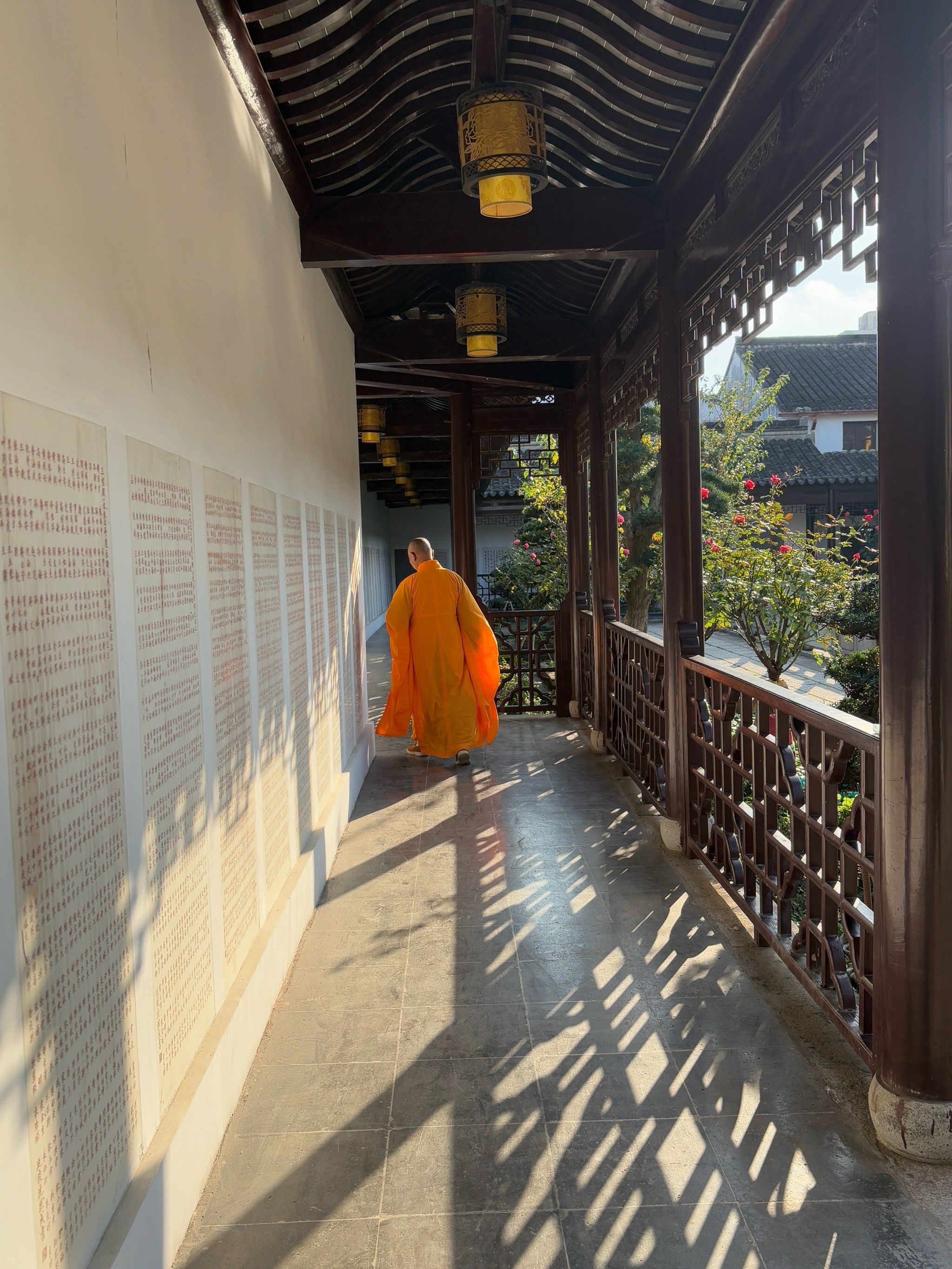 按下春天的快门