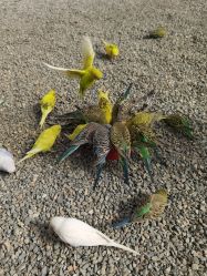 -萌宠亲子动物乐园(槐房万达店)