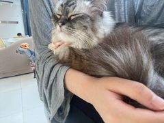 -怪兽屋·羊驼·猫咖·狗咖(俊华广场店)