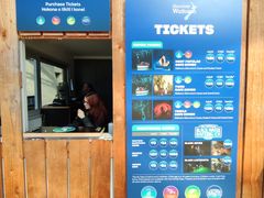 -怀托摩萤火虫洞