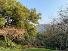 -中国茶叶博物馆(双峰馆区)