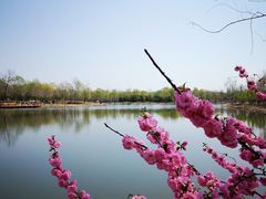 -东郊湿地公园
