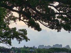 -江心屿景区