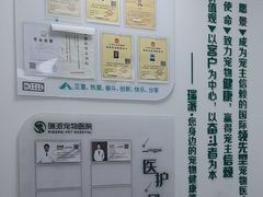 -瑞派长江宠物医院·猫科·外科·24小时夜护(谊城公寓分院)