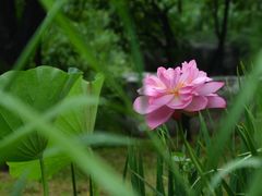 -朝阳公园