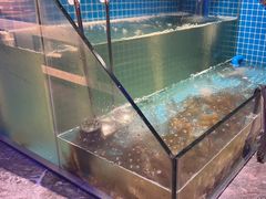 -曼格活海鲜·牛排自助(光明蓝鲸店)