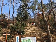 -青龙山国家森林公园