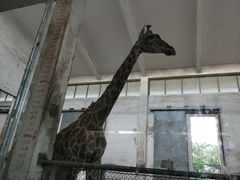 -石家庄市动物园