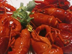 -杨氏青龙虾·羊蝎子(珠江路店)
