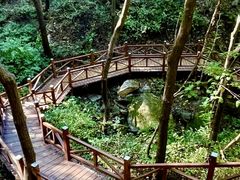 -大岭沟猕猴桃谷风景区