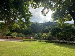 -香港大学