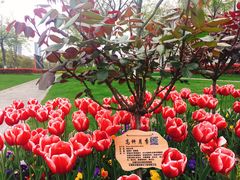 -无锡市市民中心