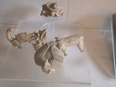 -北京动物园-畅观楼