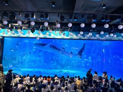 -烟台海昌鲸鲨海洋公园