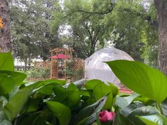 -莫多多餐厅