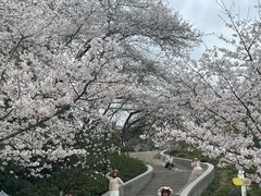 -杭州少年儿童公园