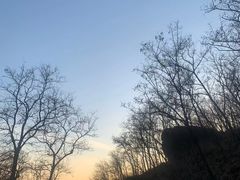 -北京西山国家森林公园