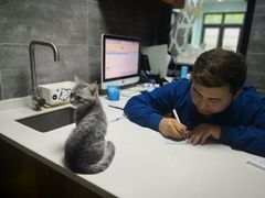 -美联众合宠物医院·爱萌分院·内外科·猫科中心