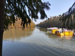 -上海海湾国家森林公园