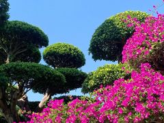 -南宁南湖公园