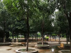 -长白岛森林公园