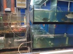 -美味海鲜大排档(明发美食地标店)