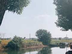 -乡乐园蟹庄·阳澄湖农家乐