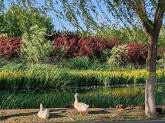 -永定河休闲森林公园