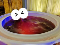 -春晖园度假酒店温泉