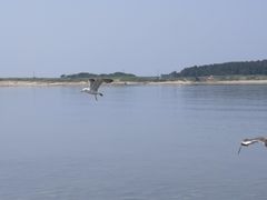 -长岛大黑山岛