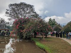 -中国科学院西双版纳热带植物园