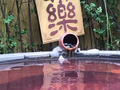 -仁爱团泊湖温泉中心