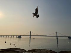 -星海广场