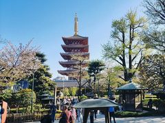 -浅草寺
